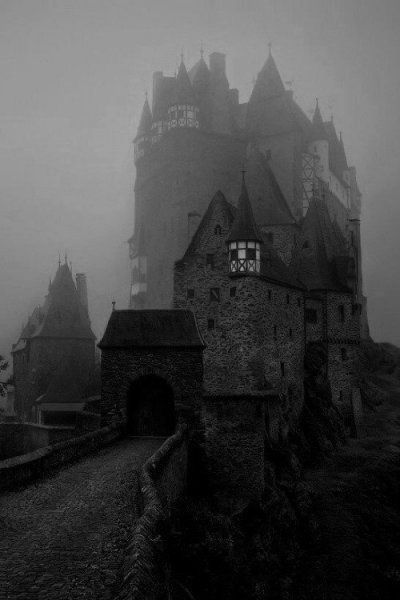 Gothic Castle Aesthetic, Skyrim Vampire, Goth Castle, Aesthetic Witchcraft, Vampire House, Darkest Academia, Vampire Castle, Dracula Castle, Vampire Pictures