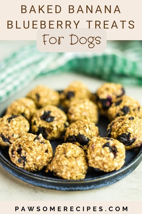 Dog Treats Homemade Blueberries, Blueberry Oatmeal Dog Treats, Blueberry Yogurt Dog Treats, Baked Goods For Dogs, Dog Treats For Diabetics, Blueberry Dog Treats Homemade Easy, Blueberry Banana Dog Treats, Blueberry Treats For Dogs, High Fiber Dog Treats Recipe