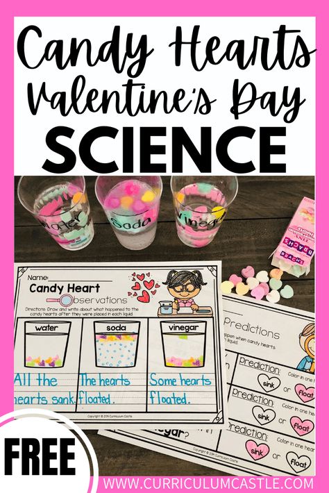 Baking Science Experiments, Kindergarten Sink Or Float, Candy Heart Science Preschool, Valentines Day Science For Kids, Candy Heart Experiment Preschool, Conversation Heart Science Experiment, Valentines Activities For Elementary Kids, Valentine’s Day Experiments, Valentines Activities For Prek