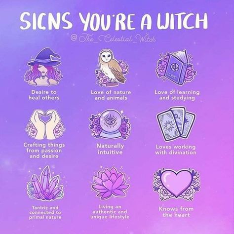 Signs you're a witch Study Craft, Witch Candles, Eclectic Witch, Magick Spells, Wiccan Spell Book, Witchcraft Spell Books, Witch Spell Book, Witchcraft For Beginners, Witch Spell