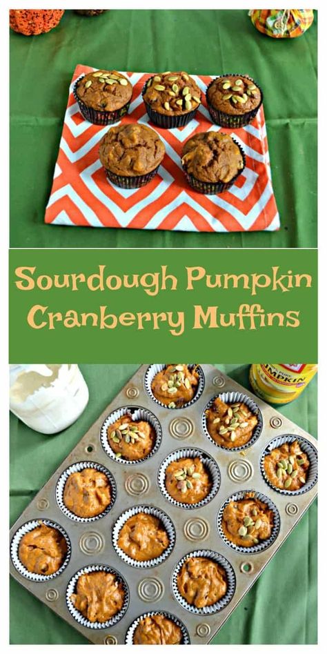 Bread Recipes Sourdough, Pumpkin Drink Recipes, Pumpkin Sourdough, Pumpkin Cranberry Muffins, Sourdough Pumpkin, Cranberry Pumpkin, Pumpkin Cornbread, Pumpkin Pasta Sauce, Molasses Recipes