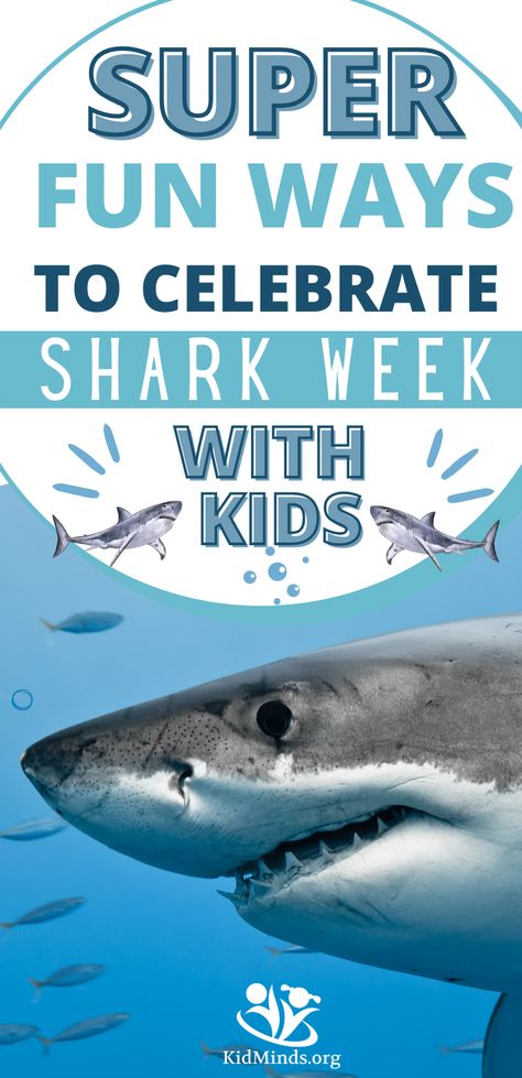 Want to start the Shark Week tradition in your family? Activities, projects, and printables to make it special for your kids! Shark Week School Activities, Shark Party Activities, Shark Activity For Kids, Shark Worksheets Preschool, Shark Week For Kids, Shark Week Ideas, Shark Week Activities For Kids, Shark Activities For Kids, Shark Themed Snacks