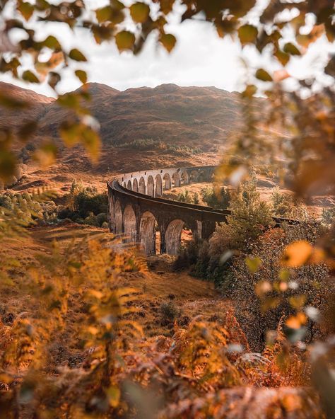 Patiently waiting for the Hogwarts Express at Glenfinnan Viaduct 🚂 Hufflepuff Aesthetic, Gryffindor Aesthetic, Harry Potter Wall, Filmy Vintage, Images Harry Potter, Hogwarts Aesthetic, Harry Potter Houses, Harry Potter Pictures, Middle Of Nowhere