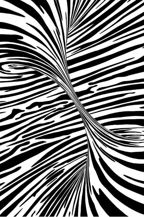 What is this? The optical tornado!? Awesome! Mind Tricks, Black And White Illustration, Zentangle Patterns, Ink Pen Drawings, Op Art, Tornado, Optical Illusions, Illustrations Posters, Doodle Art