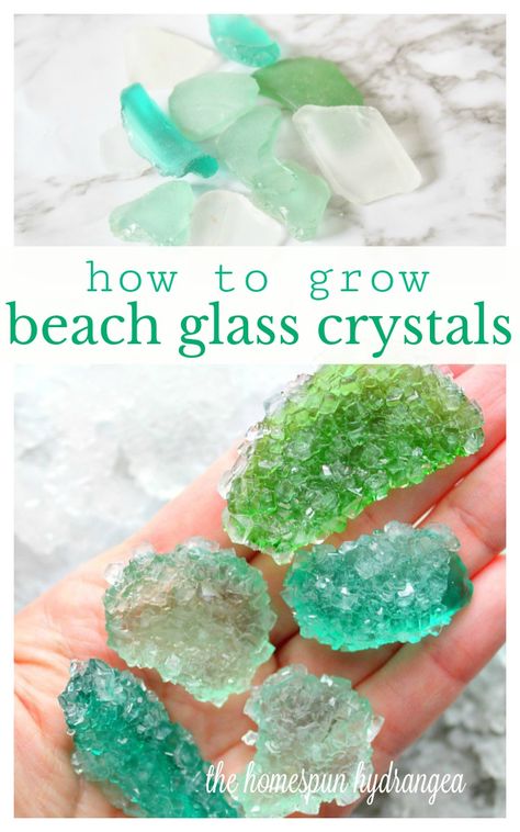 Borax Crystals, Growing Crystals, Beach Glass Crafts, Sea Glass Crafts, Crystal Crafts, Diy Crystals, Beach Crafts, Seashell Crafts, Sea Glass Art