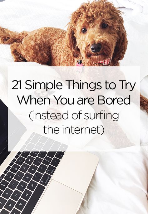 21 Simple Things to Try When You are Bored instead of surfing the internet Where To Go When Bored, Build Habits, Things To Try, Declutter Your Mind, Teaching Inspiration, Organized Life, Finding Purpose, Simplify Your Life, Intentional Living