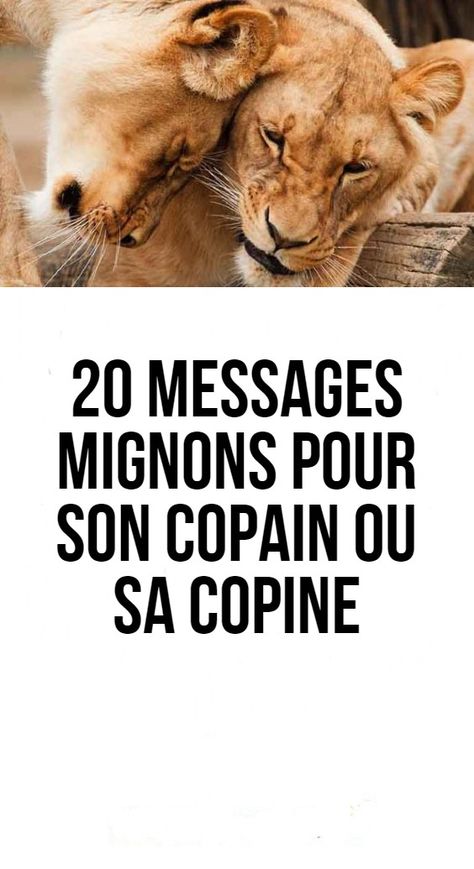 20 Messages mignons pour son copain ou sa copine Message Mignon, Quotes, Tes