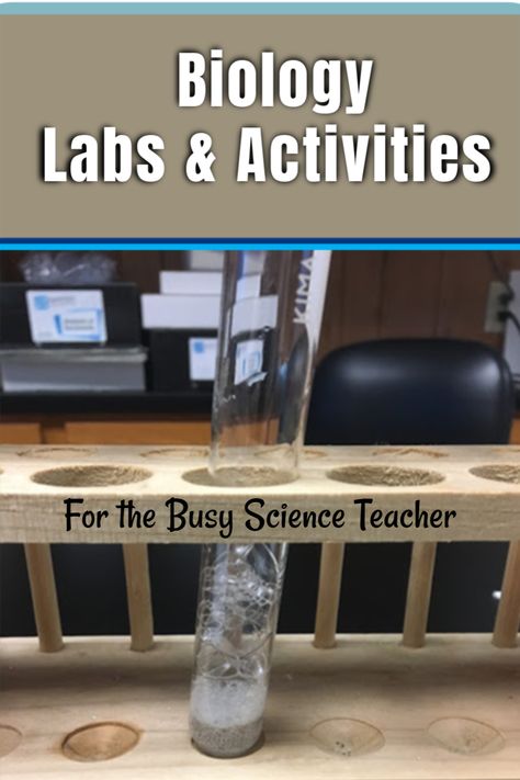 Biology Teacher Classroom, High School Biology Projects, Biology Activities High School, High School Science Classroom, Biology Experiments, Biology Activity, Science Demonstrations, Teacher Created Materials, High School Special Education