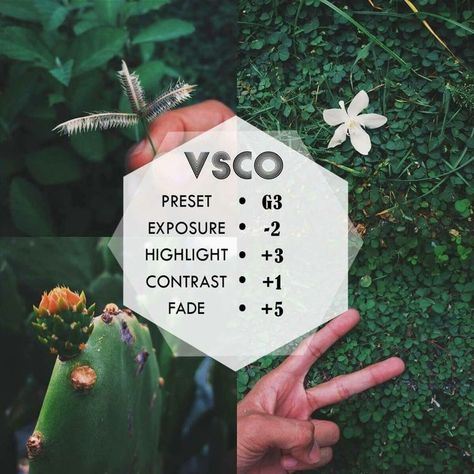 VSCO Filter for Nature Grass and Plants How To Edit Nature Photos, Lr Filter, Nature Filter, Filter Tutorial, Vsco Hacks, Vsco Filter Free, Vsco Filter Instagram, Vsco Themes, Vsco Tutorial