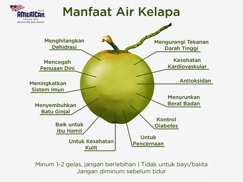 Sahabat, adainfo mengenai manfaat air kelapa. Semoga bermanfaat.  #AmericanPilloInfo #Buah #fruits #Kelapa #coconut #Kesehatan #Sehat #healthy #Infosehat #gayahidup #lifestyle Minuman Diet, Tips Kesehatan, Sun Blinds, Herbal Therapy, Air Kelapa, Fruit Benefits, Homemade Drinks, Healthy Lifestyle Food, Herbs For Health