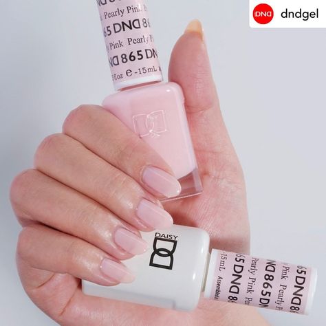 DND Gel Nail Polish Duo Gel and Matching Lacquer Duo: 1 Gel 15ml + 1 Lacquer 15ml Dnd Gel Polish Colors Pedicure, Dnd Gel Polish Colors On Nails, Dnd Pink Glaze, Dnd Sheer Pink Gel Nails, Dnd Gel Light Pink, Dnd 865 Pearly Pink, Dnd Milky Pink Polish, Dnd She's White She's Pink, Dnd Pearly Pink