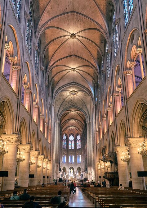 Notre Dame Cathedral Interior, Noter Dame Cathedral Paris France, Inside Of Cathedral, Cathedral Notre Dame Paris, Paris Churches Cathedrals, Cathedral Interior Design, Notre Dame Cathedral Paris, Paris Notre Dame Cathedral, Cathedrals In Europe