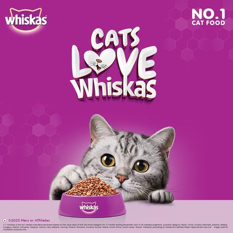 Unlock the Secret to a Happy, Healthy Cat with @whiskasindia Tuna! Whiskas Dry Cat Food for Adult Cats (1+ Years), Tuna Flavour, 20 kg https://amzn.to/4cBrSCW Whiskas Cat Food, Balanced Nutrition, Dry Cat Food, Healthy Cat, Cat Feeding, Essential Nutrients, Chicken Flavors, Cat Pet Supplies, Happy Healthy