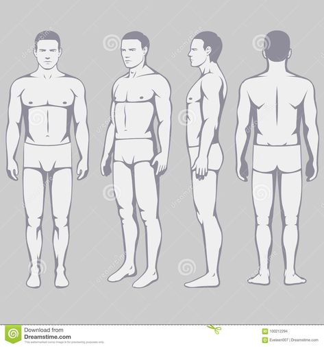 Illustration Of People, Man Silhouette, Human Body Anatomy, Body Anatomy, Modern Graphic Design, Graphic Design Typography, Male Body, Typography Design, Cartoon Art