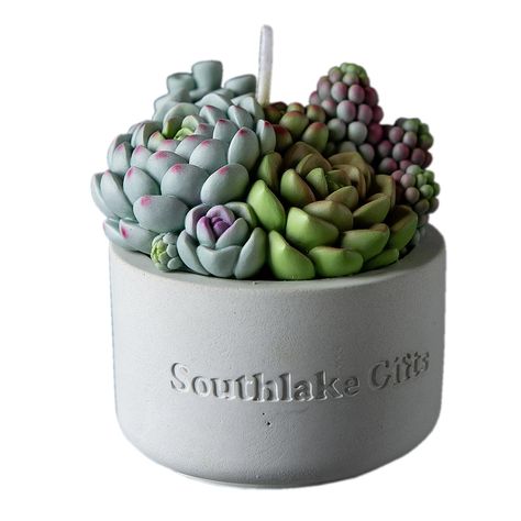 PRICES MAY VARY. Pack of 1 candle with character succulent plants. It smells Spring blossoms. Perfect size for cakes (Gift Box): 4.6 in. X 4.6 in. X4.8 in. The exclusive design, quality hand-painted, clean-burning. Novelty decorations for wedding, festival celebrations etc. Find out more at iLikePar, more surprises are waiting for you!Please contact us at info@southlakegifts.com for damaged products.  ♥ Product Specification ♥  Material:Vegetable Wax 85%±5%,Beeswax 15%±5%.  Size (Gift Box): Appr Plant Candles, Decorations For Wedding, Candle Plant, Home Decoration Wedding, Spa Home, Gift Jar, Spring Blossoms, Jar Candles, Festival Celebration