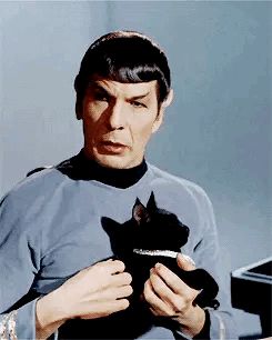 Spock petting cats is my aesthetic Mr Spock, Star Trek Original Series, Leonard Nimoy, Star Trek Original, Starship Enterprise, Star Trek Universe, A Black Cat, Star Trek Tos, Spock