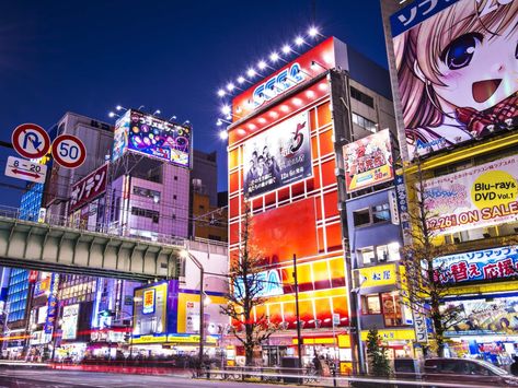 Tokyo's Akihabara district: from electronics to maid cafes ... Akihabara Tokyo, Tokyo Japan Travel, Themed Cafes, Roppongi, Camera Shop, Aesthetic Japan, Visit Japan, Hayao Miyazaki, City Aesthetic