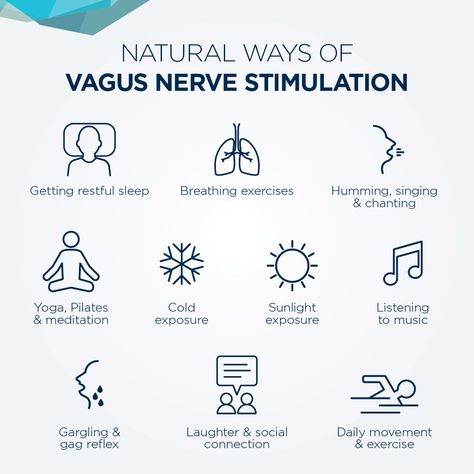 Nerve System, Nervus Vagus, The Vagus Nerve, Low Estrogen Symptoms, Nerve Health, Parasympathetic Nervous System, Autonomic Nervous System, Sciatic Nerve Pain, Vagus Nerve