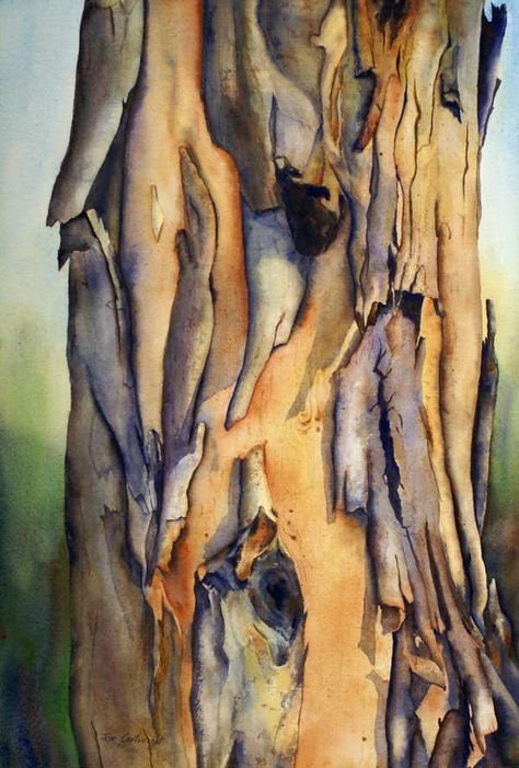 Peeling Bark Australian Gum Tree by Joe Cartwright, Australian Artist, miscellaneous painting group. Tree Bark Painting, Bark Painting, Tree Watercolor Painting, Gum Tree, Tree Watercolor, Water Color Pencil, Watercolor Tree, Watercolour Inspiration, Watercolor Trees