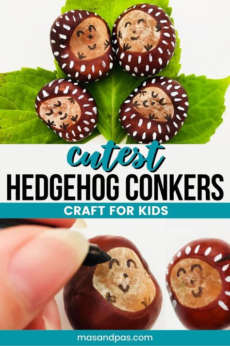 Help your toddler make the cutest hedgehog family with this simple tutorial. It's as easy as collecting conkers on your next autumn outing. Use sharpies and paints to make a loveable pet hedgehog for your preschooler.#hedgehogcraft #conkercrafts #kidscrafts #toddlercrafts #fallcrafts Autumn Craft Toddler, Painted Conkers, Crafts With Conkers, Autumn Crafts For Toddlers, Conkers Craft, Forest Animal Crafts, Pet Hedgehog, Fall Crafts For Toddlers, Acorn Crafts