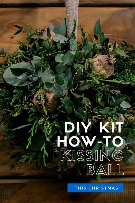 How To Make A Kissing Ball, How To Make A Kissing Ball Christmas, Evergreen Balls, Kissing Balls Christmas Diy, Kissing Balls Christmas, Kissing Ball Diy, Christmas Kissing Balls, Greenery For Christmas, Diy Kissing Ball