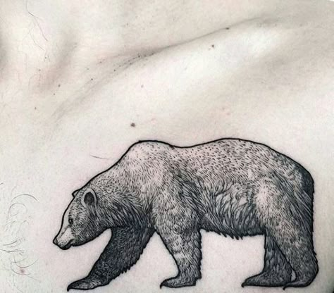 Bear Chest Tattoo, Bear Sketches, California Bear Tattoos, Black Bear Tattoo, Grizzly Bear Tattoos, Animal Symbols, Bear Tattoo Designs, Matching Tats, Bear Tattoos