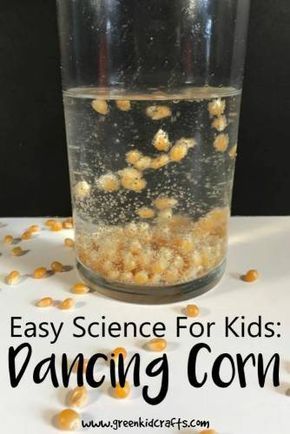 Pilgrim Science Preschool, Dancing Popcorn, Dancing Corn, Fall Stem Activities, Vetenskapliga Experiment, Preschool Thanksgiving, Fall Science, Nanny Life, Green Crafts For Kids