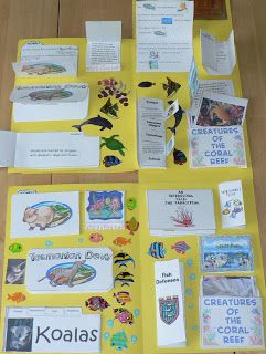 Australia and Coral Reefs (combined three Homeschool Share lapbooks: Marsupials, Coral Reef, and Australia) to make one GIGANTIC study! Wow! :) Animals Of Australia, Enrichment Projects, Barrier Reef Australia, Lap Books, Flat Stanley, Pet Theme, Country Studies, Kindergarten Coloring Pages, Landform