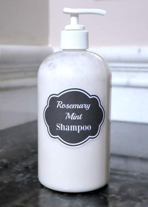 Homemade Shampoo Recipes, Rosemary Mint Shampoo, Living Naturally, Rosemary Shampoo, Diy Soaps, Mint Shampoo, Shampoo Recipe, Natural Recipes, Homemade Shampoo