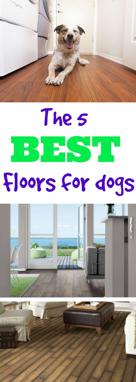 What's the best flooring for dogs? We've gathered the top 5 dog friendly flooring options to help keep your pet safe and your home stylish. Durable Flooring Ideas Pets, Dog Flooring Ideas, Dog Proof Flooring, Dog Friendly Home Ideas, Best Flooring For Dogs, Flooring Options Living Room, Best Floors For Dogs, Dog Friendly Flooring, Easy Renovations