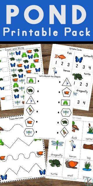 Pond Life Preschool, Pond Activities, Pond Life Theme, Pond Crafts, Turtle Activities, Pond Animals, Pre K Worksheets, Printable Worksheets For Kids, Preschool Sight Words