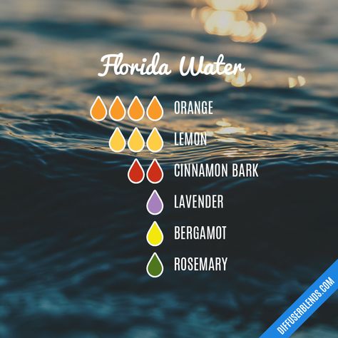 Florida Water Florida Water Essential Oil Blend, Florida Water Recipe, Witchy Oils, Water Diffuser, Eo Blends, Reed Diffuser Sticks, Liquid Castile Soap, Florida Water, Witch Garden