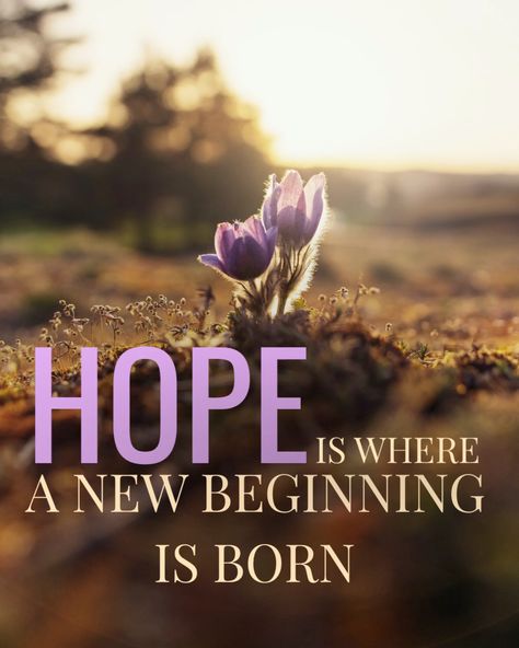 Hope is more than an idea. It's a place, a real one inside ourselves where dreams can grow and new beginnings are born. ⁠ ⁠ Sometimes, when hope is taken away, that place is destroyed and nothing can flourish or grow. ⁠ ⁠ But that place is never gone, and with the help of others, healing and hard work, hope will always find a way. ⁠ ⁠ #starsofHOPE #hopeheals #hopelives #hopegrows #emotionalhealing #emotionalrecovery #communitysupport #communityhealing Quotes About Hope For The Future, Hope All Is Well Quotes, Have Hope Quotes, Hope Quotes Hard Times, All Is Well Quotes, Hope Quotes Positive, Hope Quotes Never Give Up, Get Well Prayers, Quotes About Hope