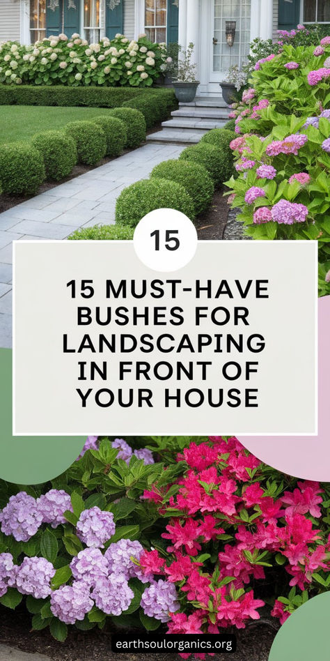 Discover the perfect bushes to beautify the front of your house. These 15 versatile options bring elegance and charm to your landscaping. Perfect for boosting curb appeal! 🌷 #GardeningTips #FrontYardDesign Landscape For White House, Ranch Front Landscaping Ideas, Front Of House Landscape Ideas Hydrangea, Front Yard Landscaping New York, Stunning Front Yard Landscaping, Zone 4 Landscaping Front Yards, Front Garden Bed Ideas Curb Appeal, Simple Landscaping Front Yard Budget, Front Of House Garden Bed