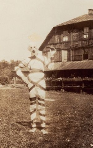 vintage halloween costumes Creepy Vintage Halloween, Terrifying Halloween Costumes, Vintage Bizarre, Most Popular Halloween Costumes, Vintage Halloween Costumes, Images Terrifiantes, Terrifying Halloween, Creepy Halloween Costumes, Popular Halloween Costumes