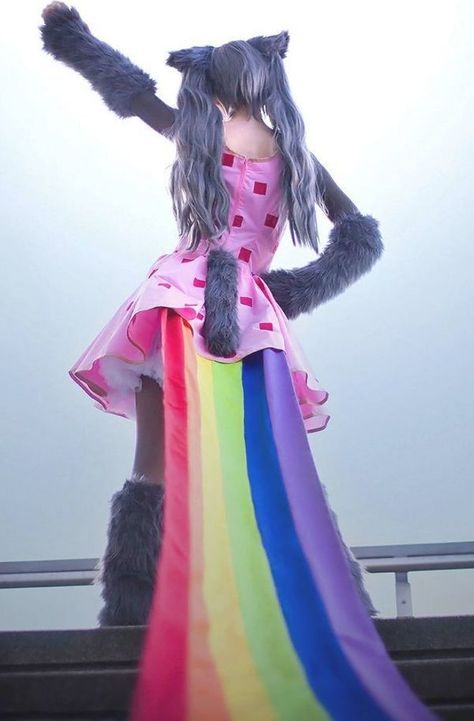 Cosplay Cat, Nyan Nyan, Woman Cosplay, Catwoman Cosplay, Cat Cosplay, Cat Woman, Nyan Cat, Epic Cosplay, Cat Costume