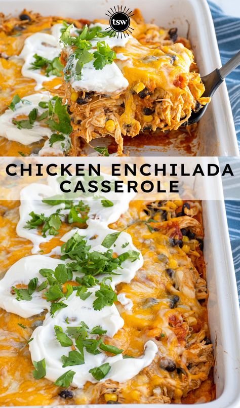 Chicken Casserole Bake Recipes, Chicken Enchilada Sheet Pan, Whole 30 Enchilada Casserole, Chicken Enchilada Casserole No Tortilla, Chicken Thigh Enchilada Casserole, Chicken Sweet Potato Enchiladas, Oven Enchiladas Chicken, Cheesy Enchiladas Chicken, Mexican Shredded Chicken Casserole