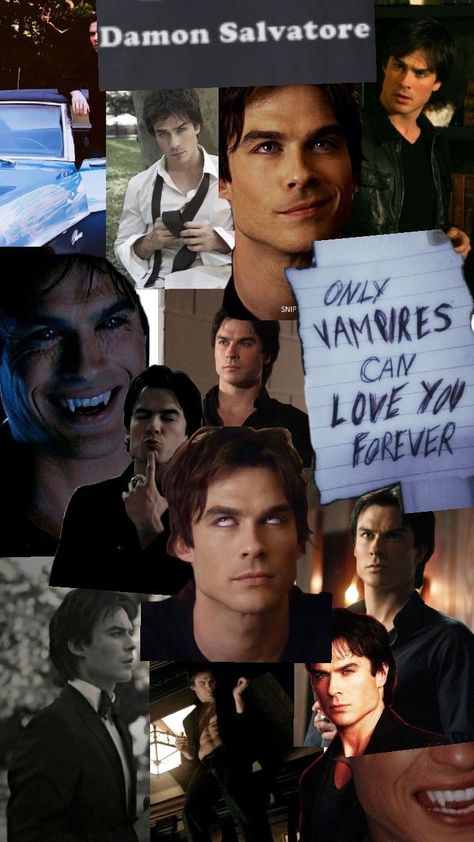 Team Damon, Damon Salvatore Vampire Diaries, Friend Group, Elena Gilbert, Damon Salvatore, Love You Forever, Face Shape, Vampire Diaries, Dairy