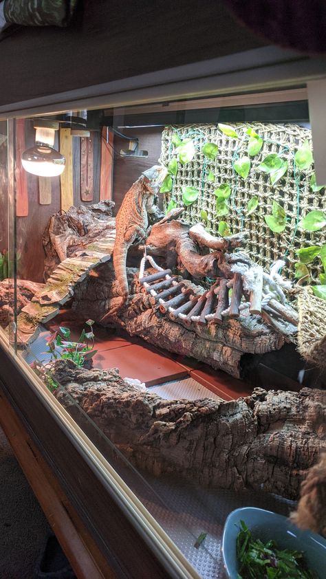 Large Bearded Dragon Terrarium, Bearded Dragon Ideas Tanks, Bearded Dragon Husbandry, Outdoor Bearded Dragon Enclosure Diy, Best Bearded Dragon Enclosure, Lizard Tank Ideas Diy Bearded Dragon, Unique Bearded Dragon Enclosure, Diy Reptile Hide Bearded Dragon, Reptile Enclosure Stand