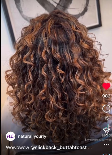 Brown Curly Hair With Auburn Highlights, Curly Hair With Copper Highlights, Winter Hair Color For Curly Hair, Carmel Curly Highlights, Warm Caramel Balayage Honey Curly Hair, Highlights Curly, Curly Caramel Balayage, Curly Hair With Colored Highlights, Brown Curly Hair With Red Highlights