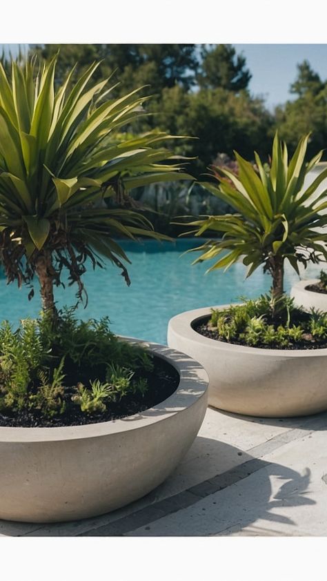 Zone 6 Wonders: Best Poolside Plants for Zone 6 - Fads