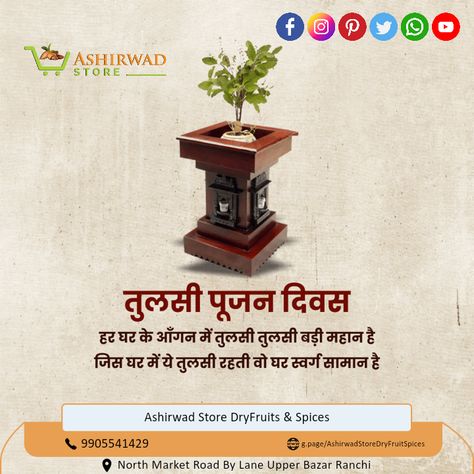 Happy Tulsi Pujan Diwas! #tulsiplant #tulsi Tulsi Pooja Divas, Tulsi Diwas Wishes, Tulsi Pujan Divas, Happy Tulsi Pooja Wishes, Tulsi Pujan, Tulsi Vivah, Tulsi Plant, Design Motivation, Ganesh Lord