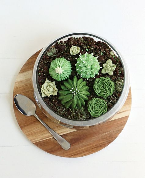 Terrarium Cake Tutorial – Alana Jones-Mann Cupcakes Succulents, Edible Terrarium, Buttercream Succulents, Terraria Cake, Succulent Cupcakes, Succulent Cake, Cactus Cake, Friends Cake, Cake Classes