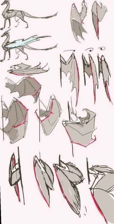 Ref. de alas de dragón #dragon #tutorial #reference Dragon Poses, Creaturi Mitice, Wings Drawing, Výtvarné Reference, Dragon Sketch, Creature Drawings, Dragon Wings, Anatomy Drawing, Dragon Artwork