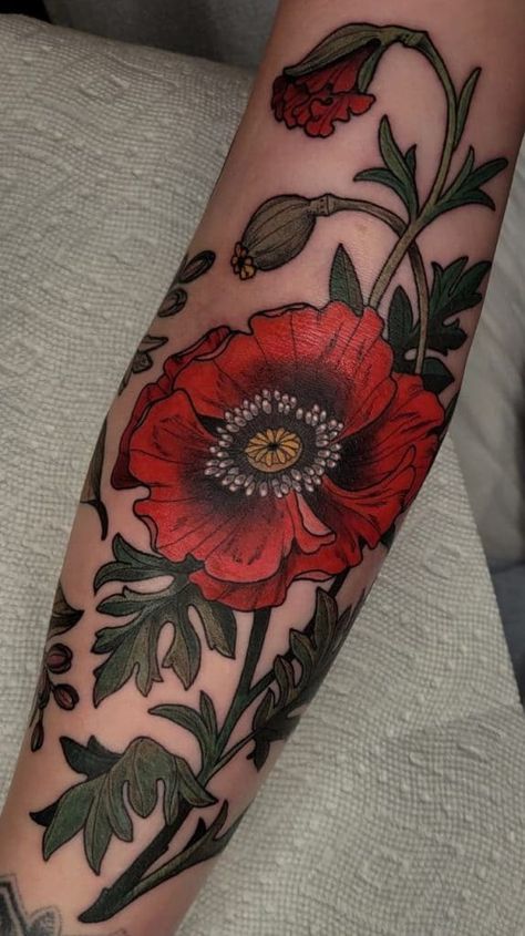 Neo Traditional Poppy, Poppy Tattoo Sleeve, Traditional Poppy Tattoo, Poppy Tattoo Meaning, Red Poppy Tattoo, Poppy Flower Tattoo, Poppy Tattoo, Traditional Tattoo Flowers, Garden Tattoos