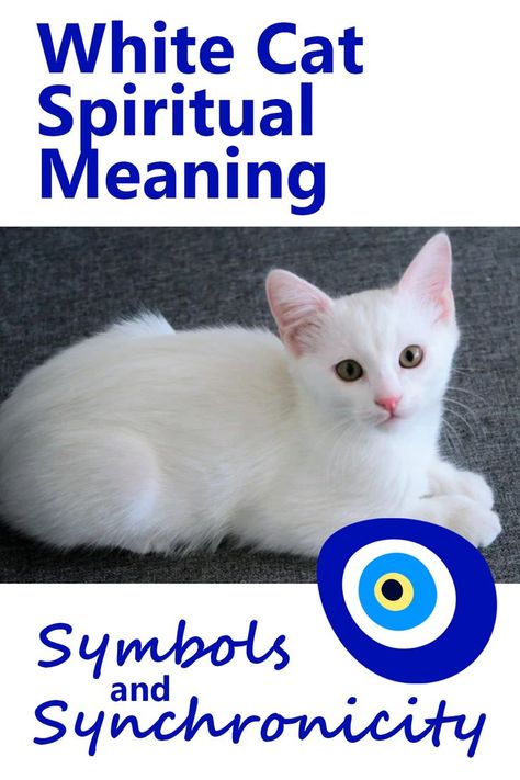 White Cat Spiritual Meaning White Cat Spiritual Meaning, White Cat Symbolism, Black And White Cat Spiritual Meaning, Cat Mythology, Cat Spiritual Meaning, Cat Symbolism, Cat Spirit Animal, Animal Symbols, Best Cat Breeds