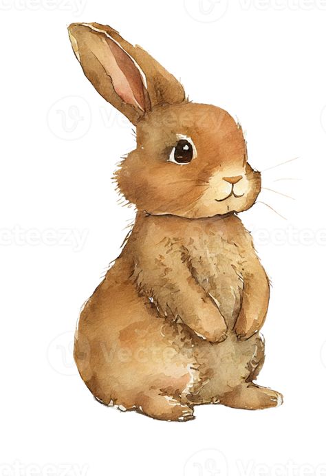 Cute Rabbit Illustration, Woodland Rabbit, Abc Cards, Brown Rabbit, Rabbit Drawing, Brown Bunny, Rabbit Illustration, Bunny Drawing, Cityscape Photos