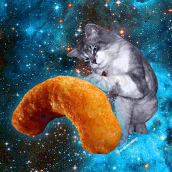 Cat In Space, Cats In Space, Strange Planet Cat, Space Cats Aesthetic, Space Cats Wallpaper, Cat In Space Painting, Cat From Outer Space, Trippy Cat, Galaxy Cat