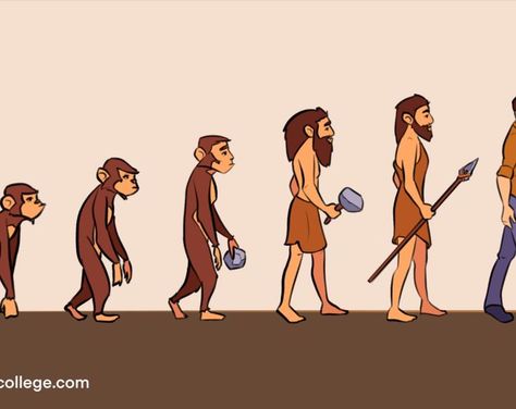 Human evolution is a part of "biological anthropology" and requires a multidisciplinary approach that includes evolutionary biology, primatology, genetics, paleoecology, geology, mathematics, linguistics, and other disciplines. Biological Anthropology, Evolutionary Biology, Human Evolution, Animals Friendship, Anthropology, Geology, Biology, First Look, Evolution