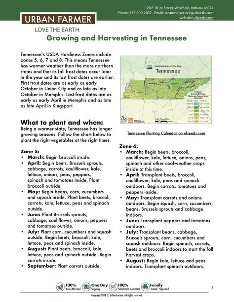 This guide provides key steps and information for everything you need to know about growing and harvesting in Tennessee. https://files.ufseeds.com/uploads/Tennessee.pdf Tennessee Planting Guide, Homesteading In Tennessee, Gardening In Tennessee, Tennessee Homestead, Tennessee Gardening, When To Plant Garden, Tennessee Garden, When To Transplant Seedlings, Vegetable Planting Calendar